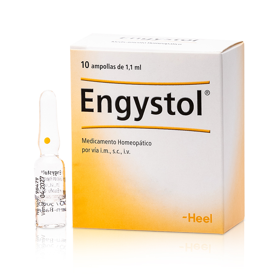 Imagen de Heel solución inyectable 1,1 ml