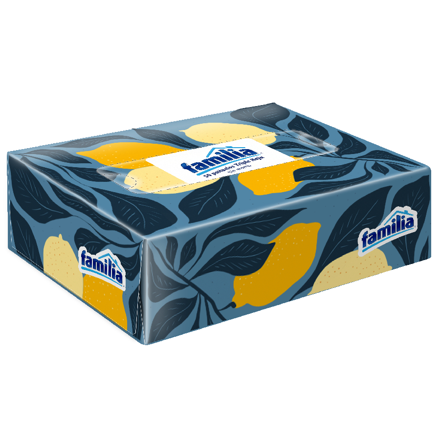 Imagen de Pañuelo facial familia 50 unidades