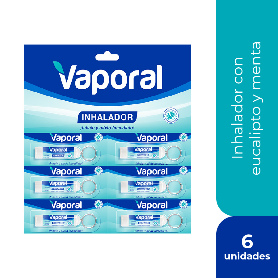 Imagen de  VAPORAL VAPORAL GUD-INHALADORx10GRx6 x 6